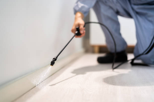 Bed Bug Pre-Treatment Preparation Assessment in Chena Ridge