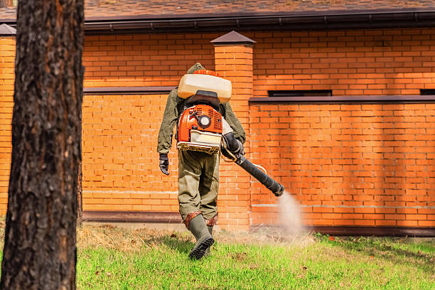 Bed Bug Clearance Verification and Documentation in Chena Ridge